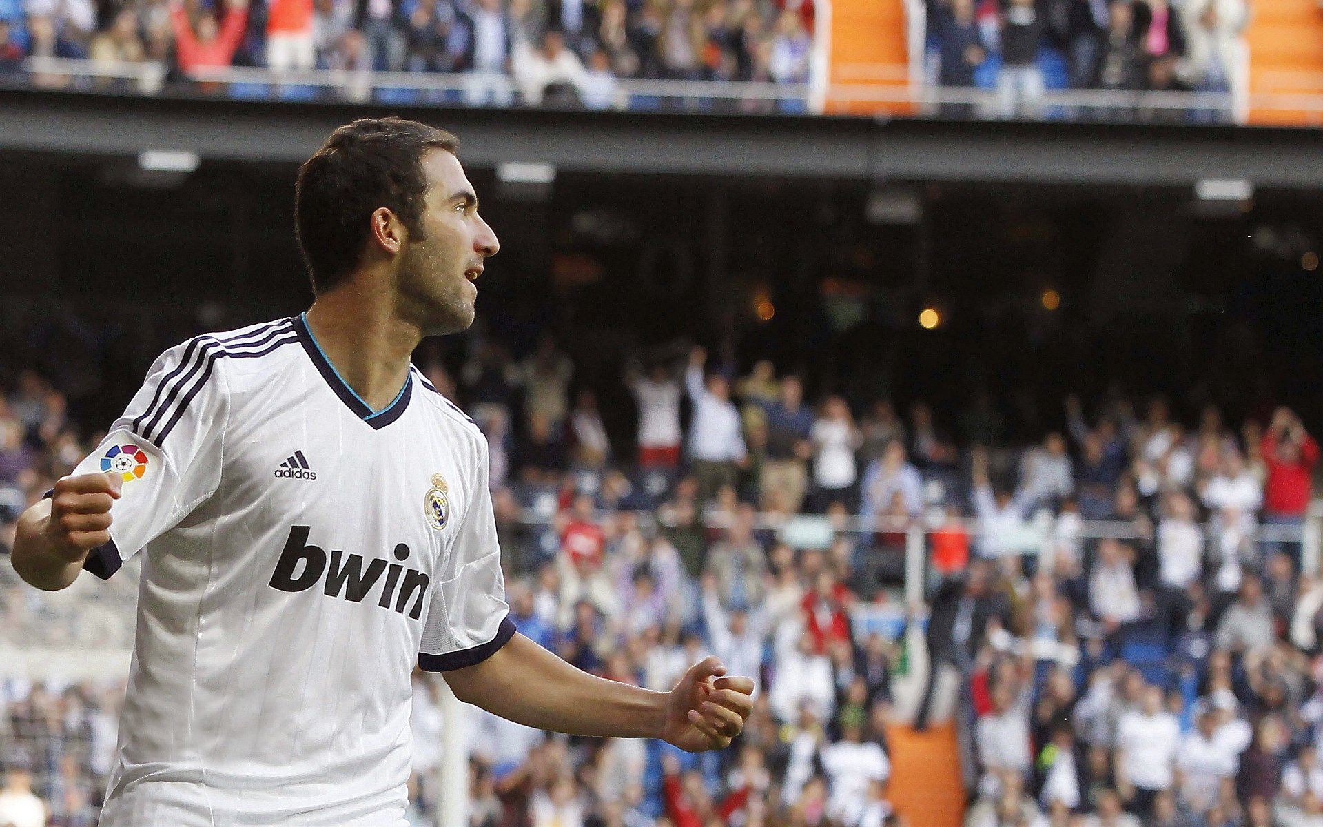 沉默的利刃,范弗利特在2026世界杯之夜,用进攻撕碎了所有战术板