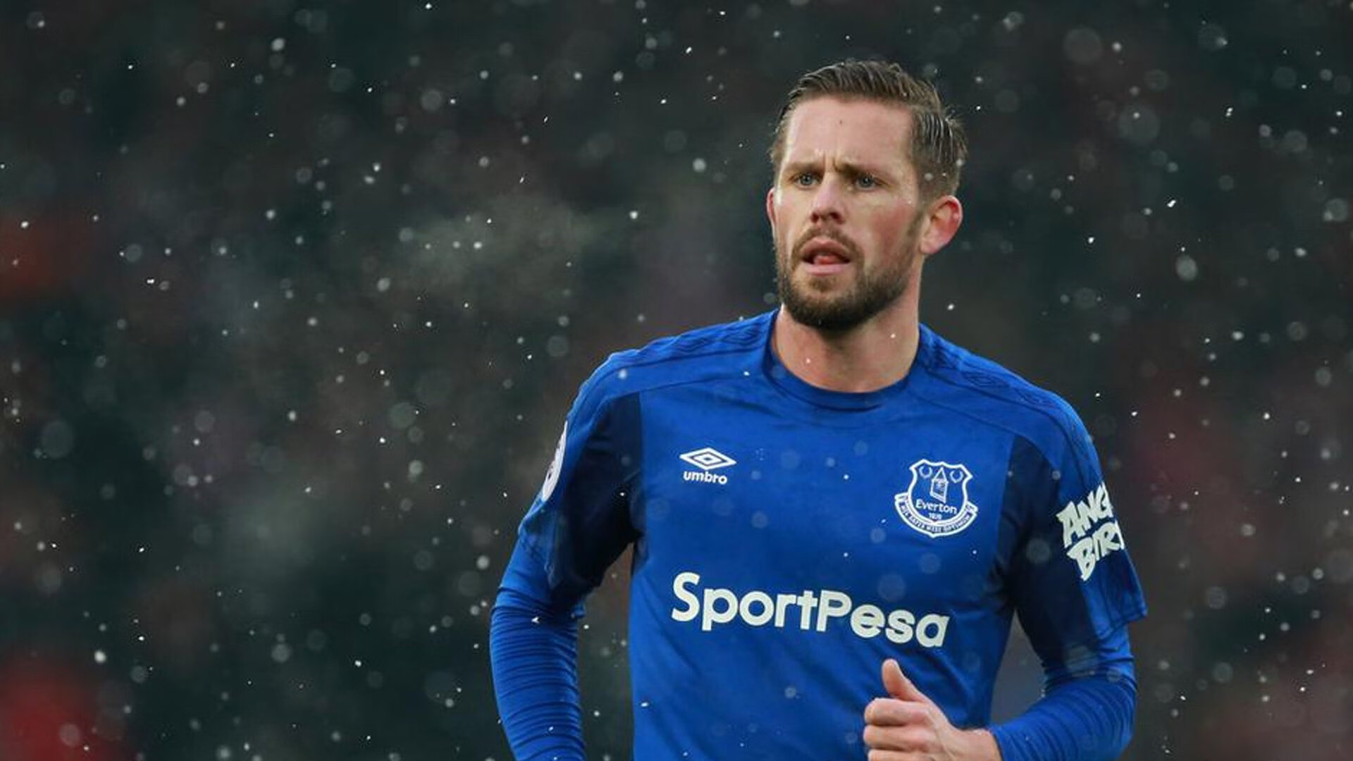 赛道上的双面法则，哈斯精算碾压雷诺，诺里斯天赋颠覆常识